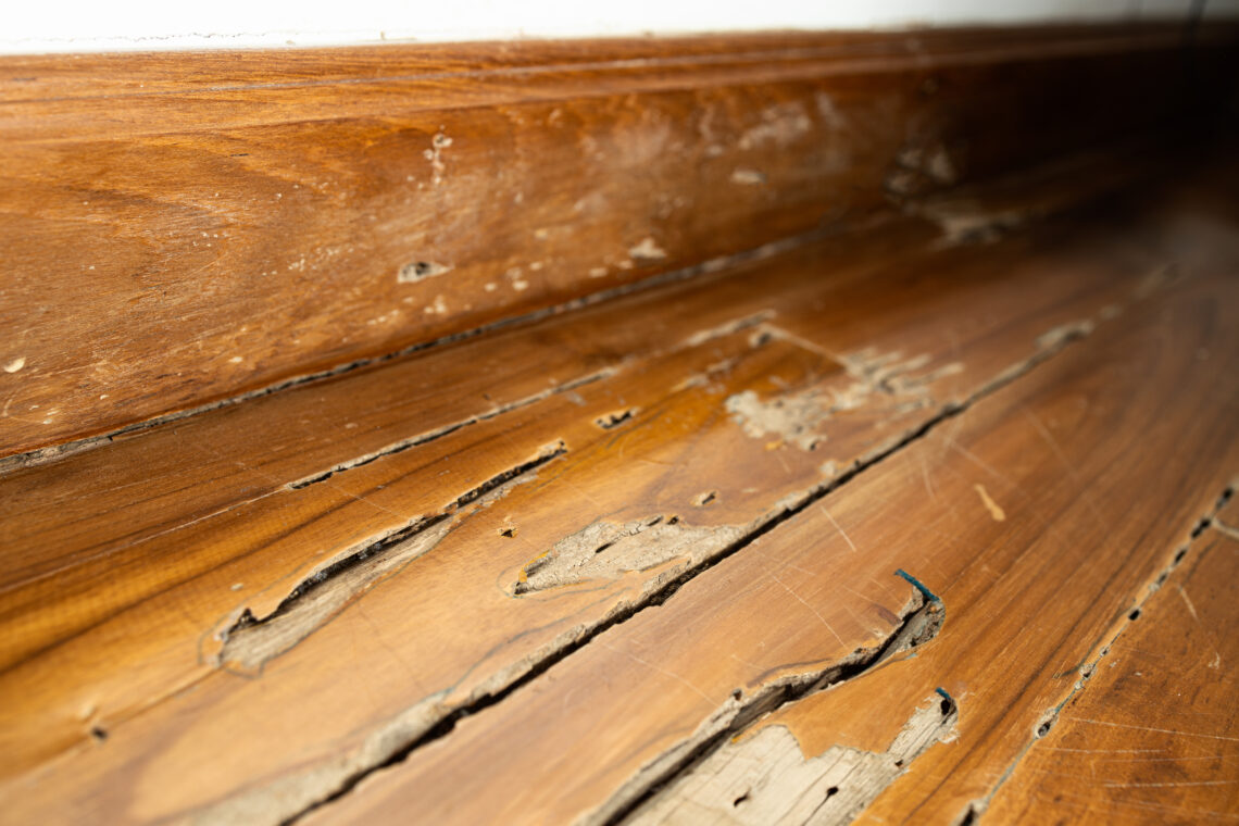 Can You Bug Bomb One Room and Stay in the House?