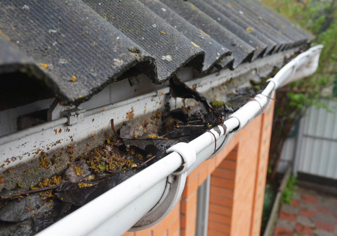 How Much Does Gutter Installation Cost? (2024 Guide)