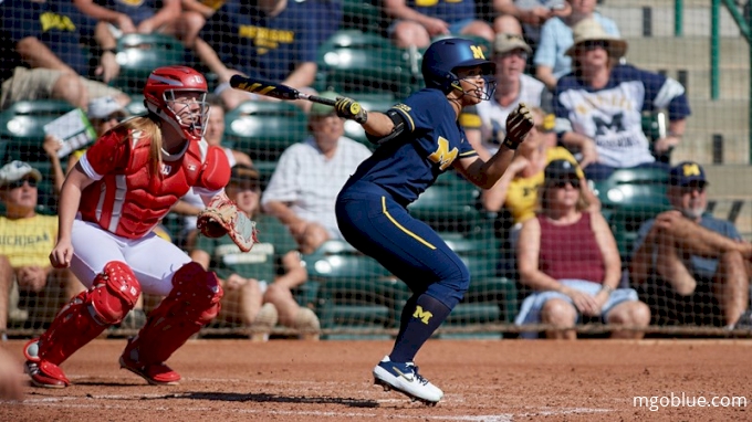 Big Ten Softball Conference Breakdown