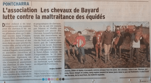 Un transport pour sauver les chevaux maltraités ! Ulule