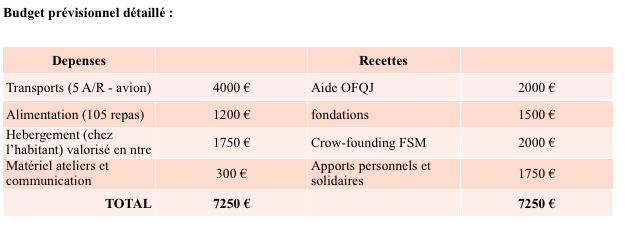 Au coeur du Forum Sociale Mondiale Ulule