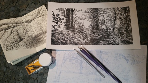 de forêts 2 Ulule