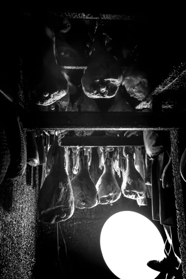 tribu. terre. Livre de photos Ulule