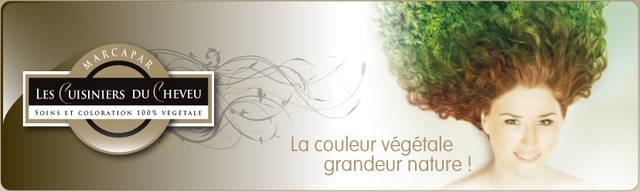 Salon de Coiffure Bois d'ébène Ulule
