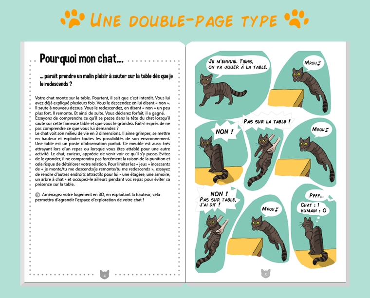 Pourquoi mon chat n'aime pas les portes fermées ? Ulule