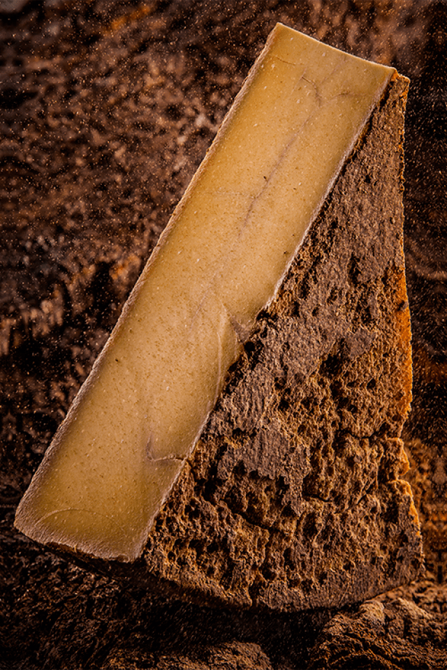 tribu. terre. Livre de photos Ulule