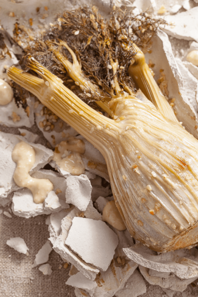 tribu. terre. Livre de photos Ulule