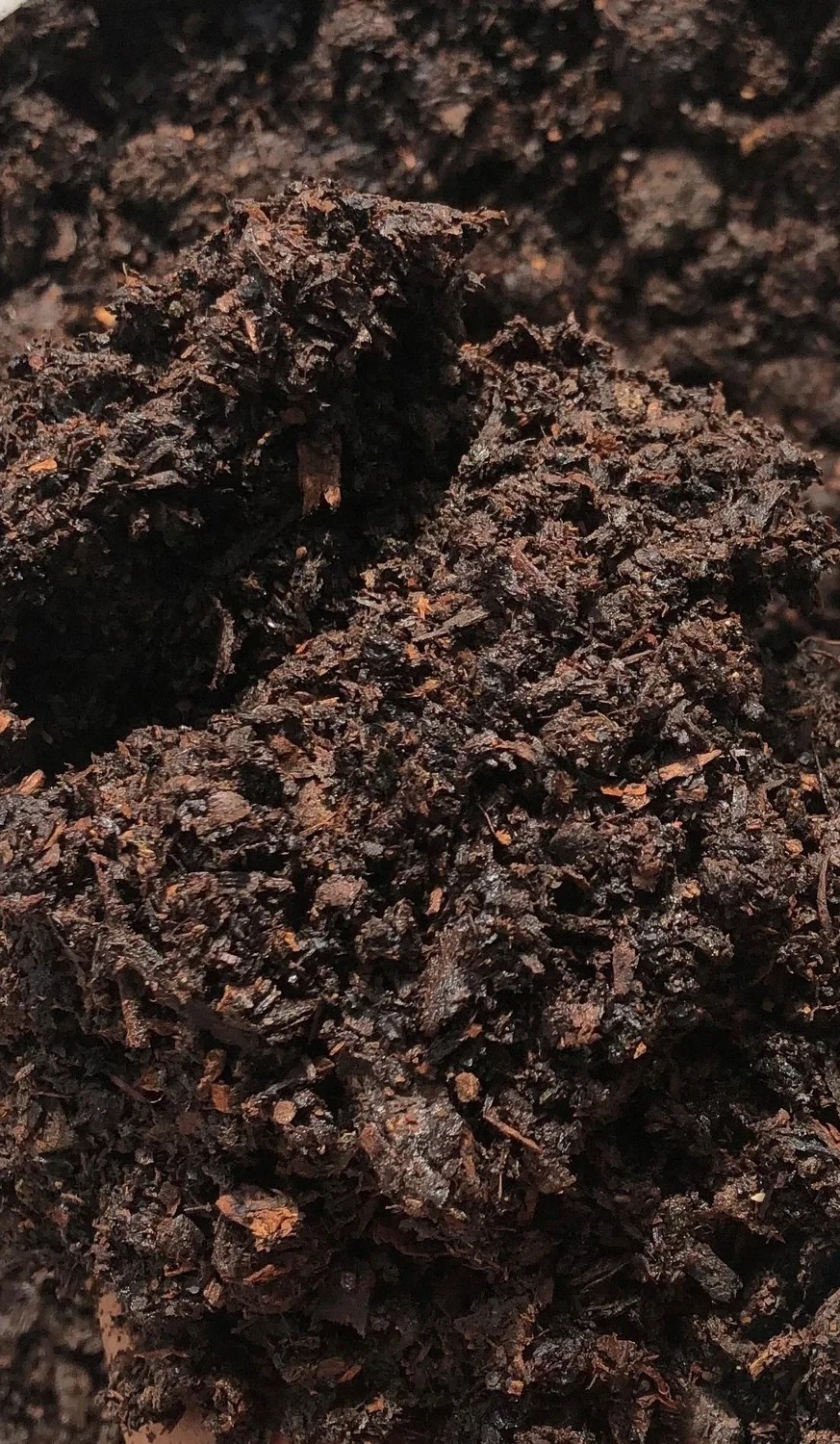 Buy chicken manure Sydney