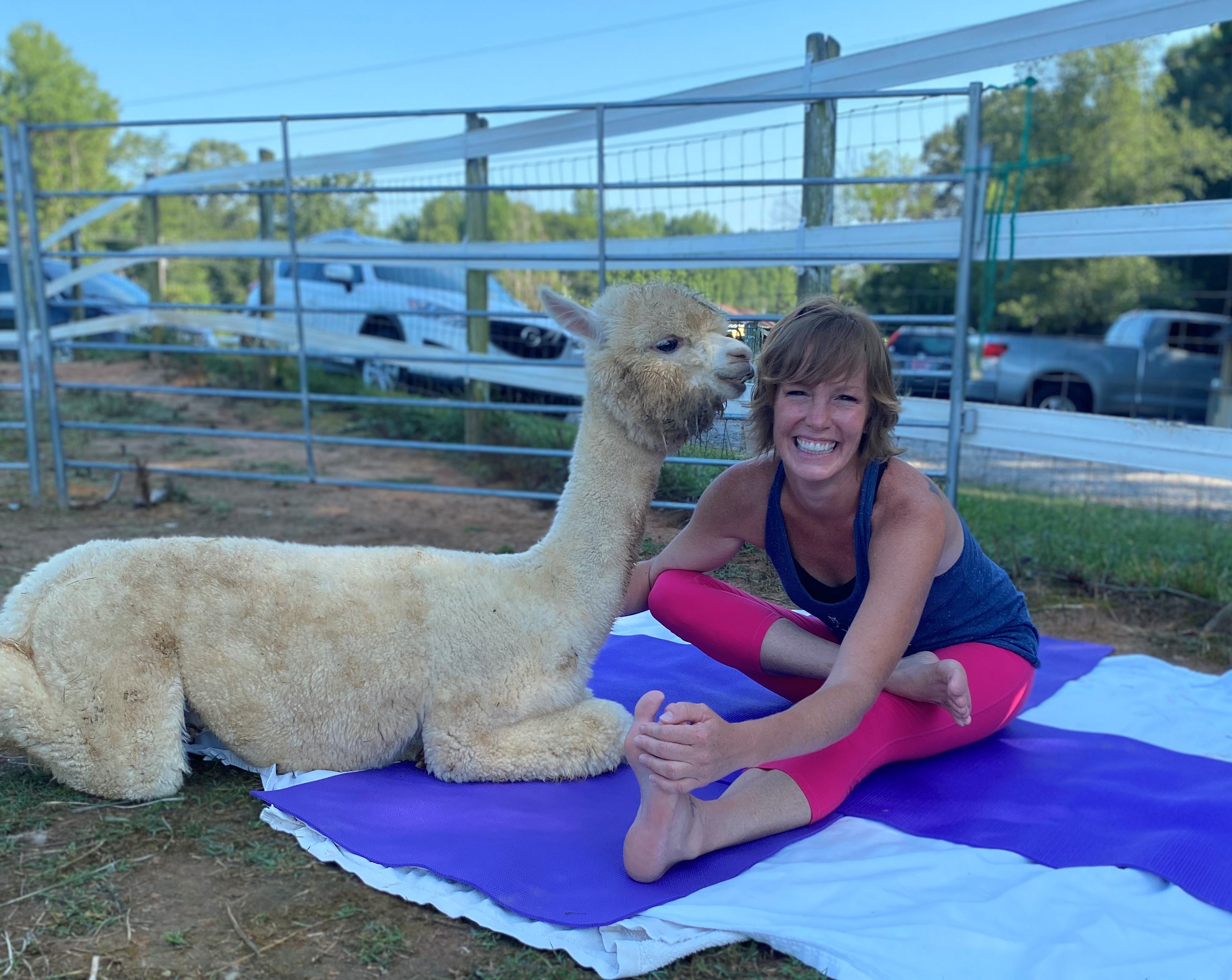 Good Karma Ranch Charlottes Got A Lot