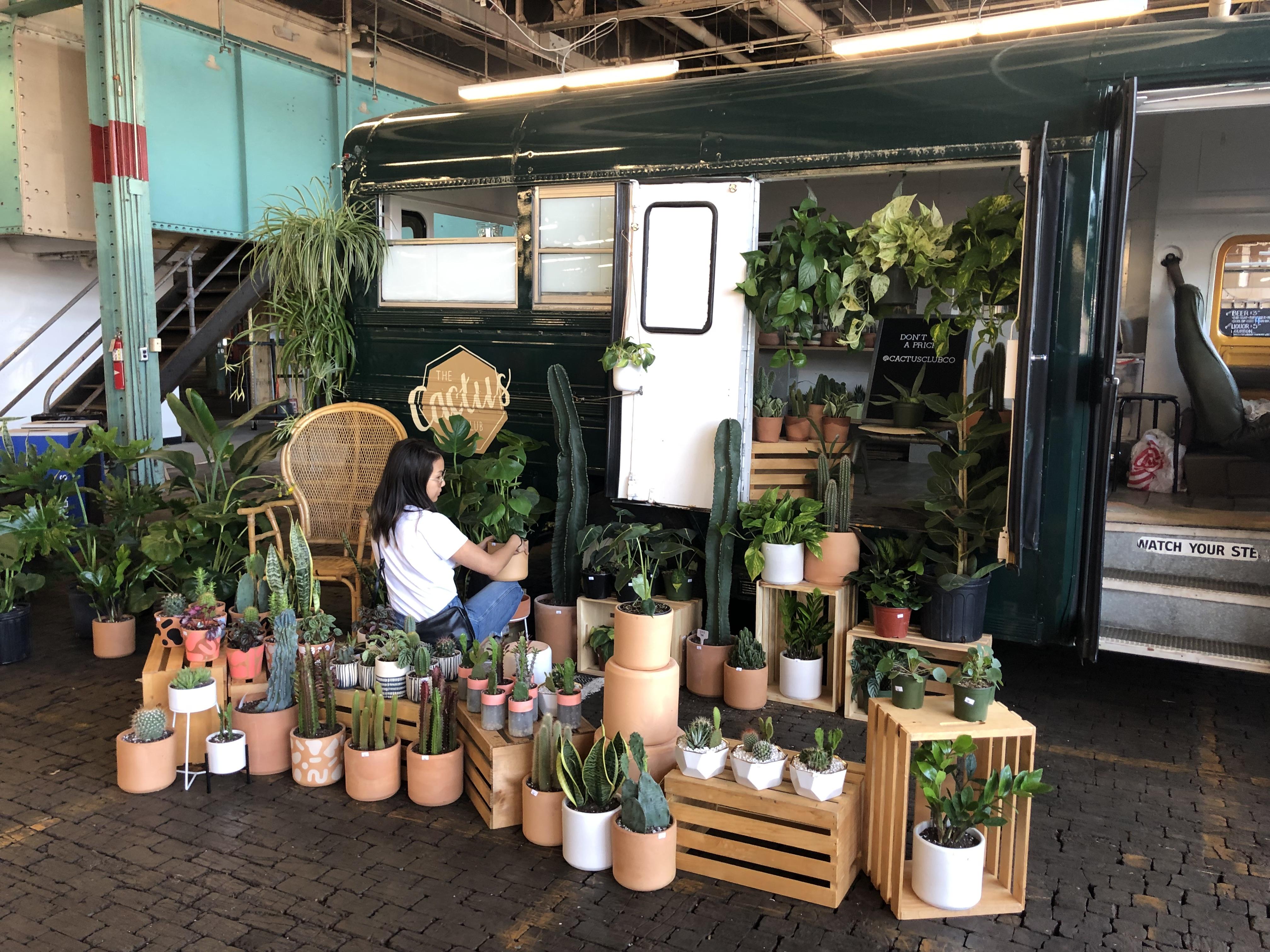 Asian Owned Businesses in Charlotte Support Asian Owned