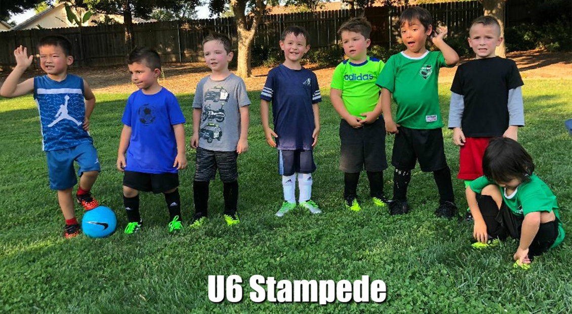 Roseville Youth Soccer Club