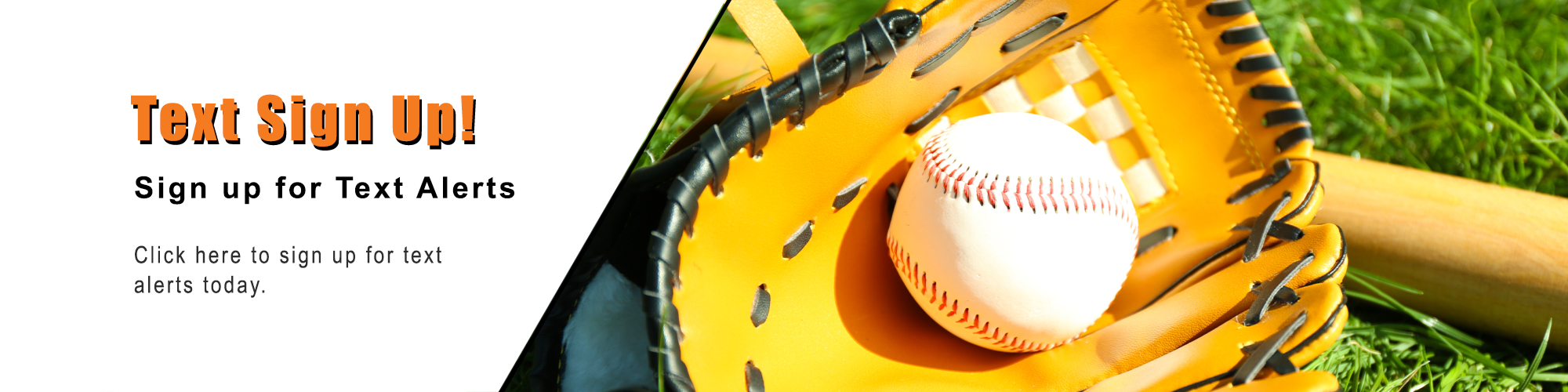 White Bear Lake Community Services