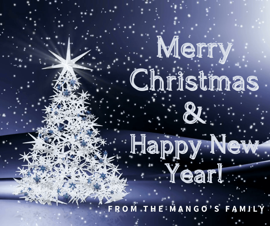 Mango's Beach Volleyball