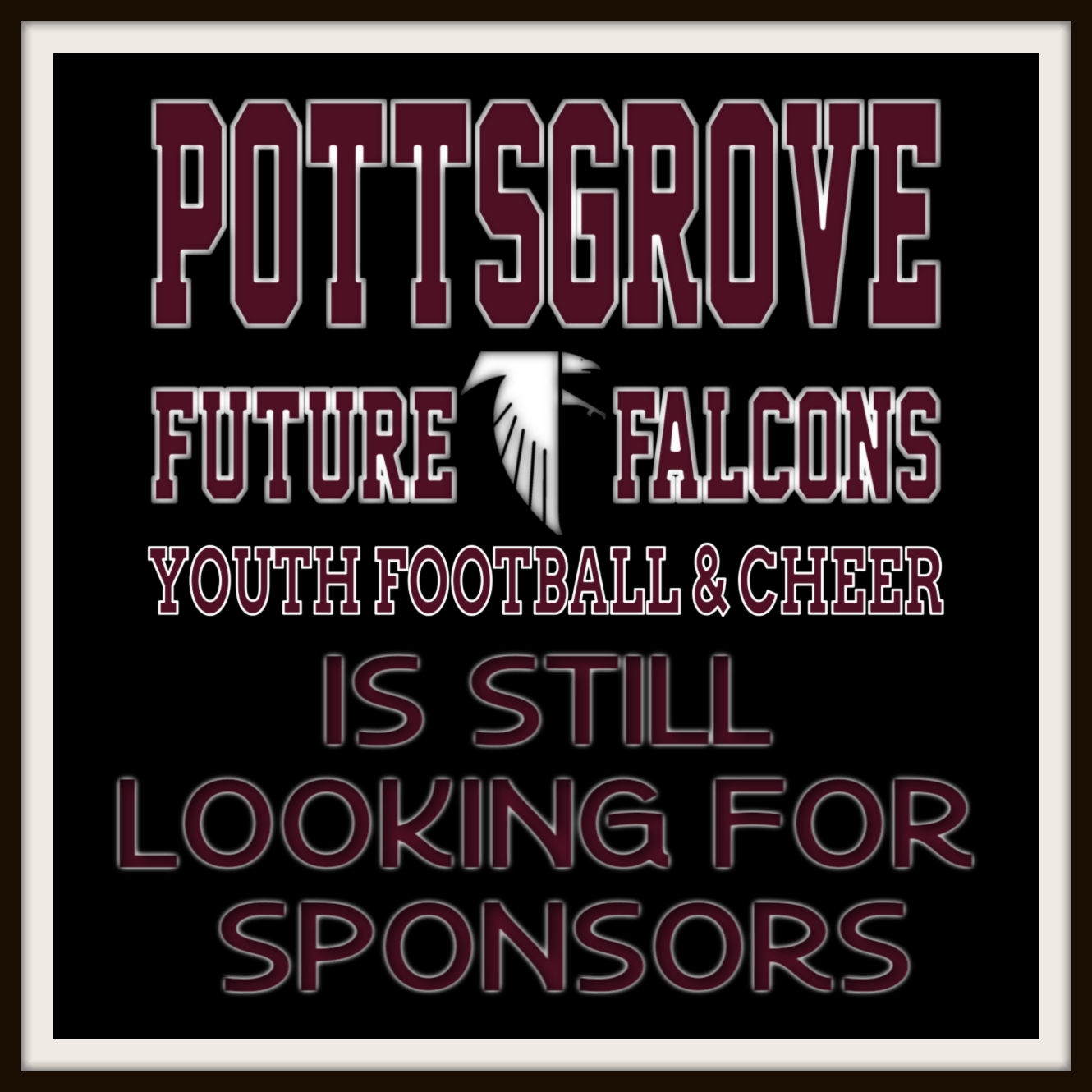 Pottsgrove Future Falcons