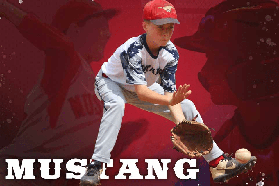 Mustang Baseball