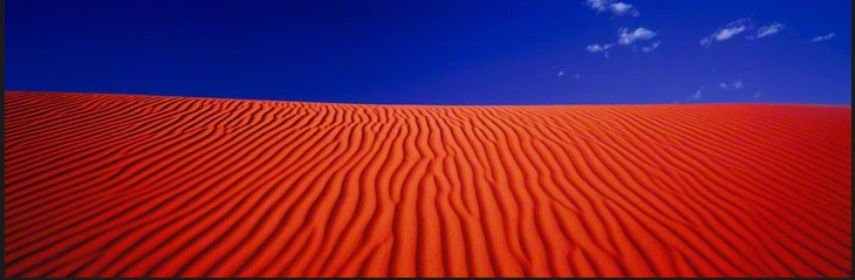 Peter Lik Is the Unbelievable 6.5 Million Record a Fraud? Widewalls