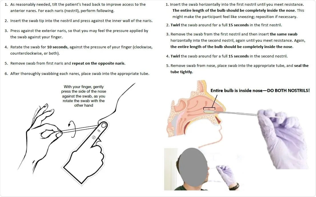 Nasal Swab Collection Procedure