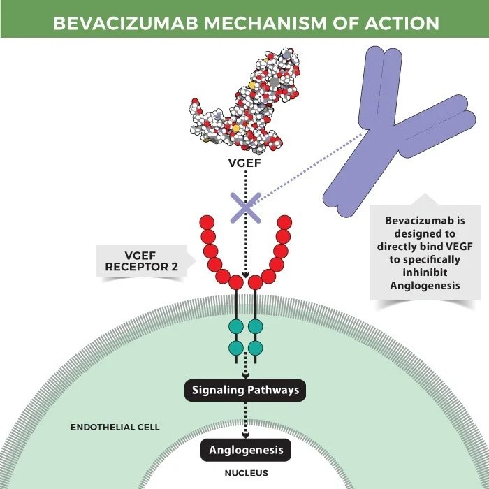 VEGF A consistent target for antitumor therapy