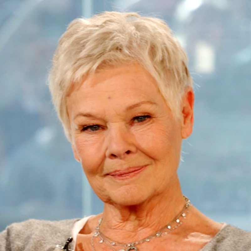 Dame Judi Dench, CH London Remembers, Aiming to capture all memorials