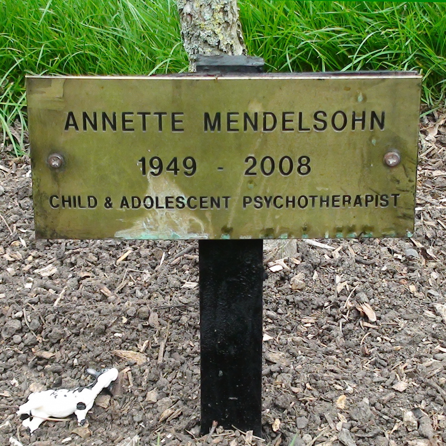Royal Free Hospital Mendelsohn London Remembers, Aiming to capture
