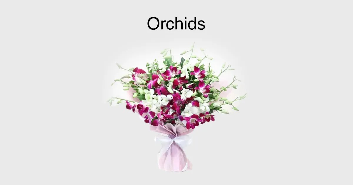 Orchids Flower Online Dubai Orchid Bouquet Delivery Buy Any Flowers
