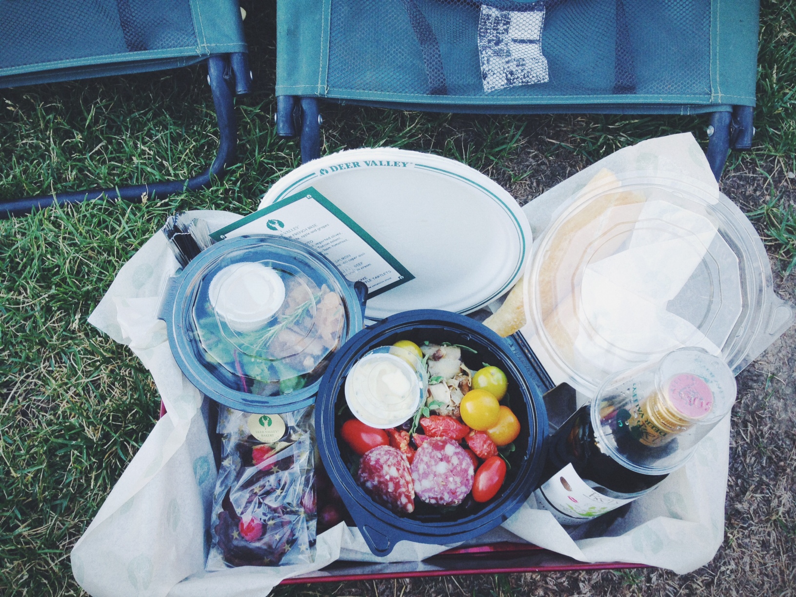 Deer Valley Summer Concerts + a picnic SLC Foodie