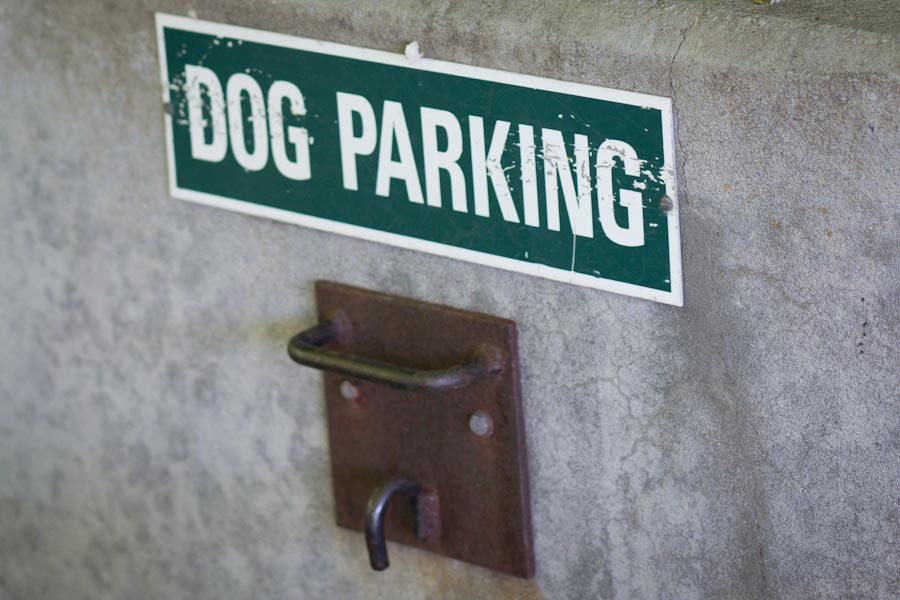 Dog Friendly Restaurants in Salt Lake City SLC Foodie