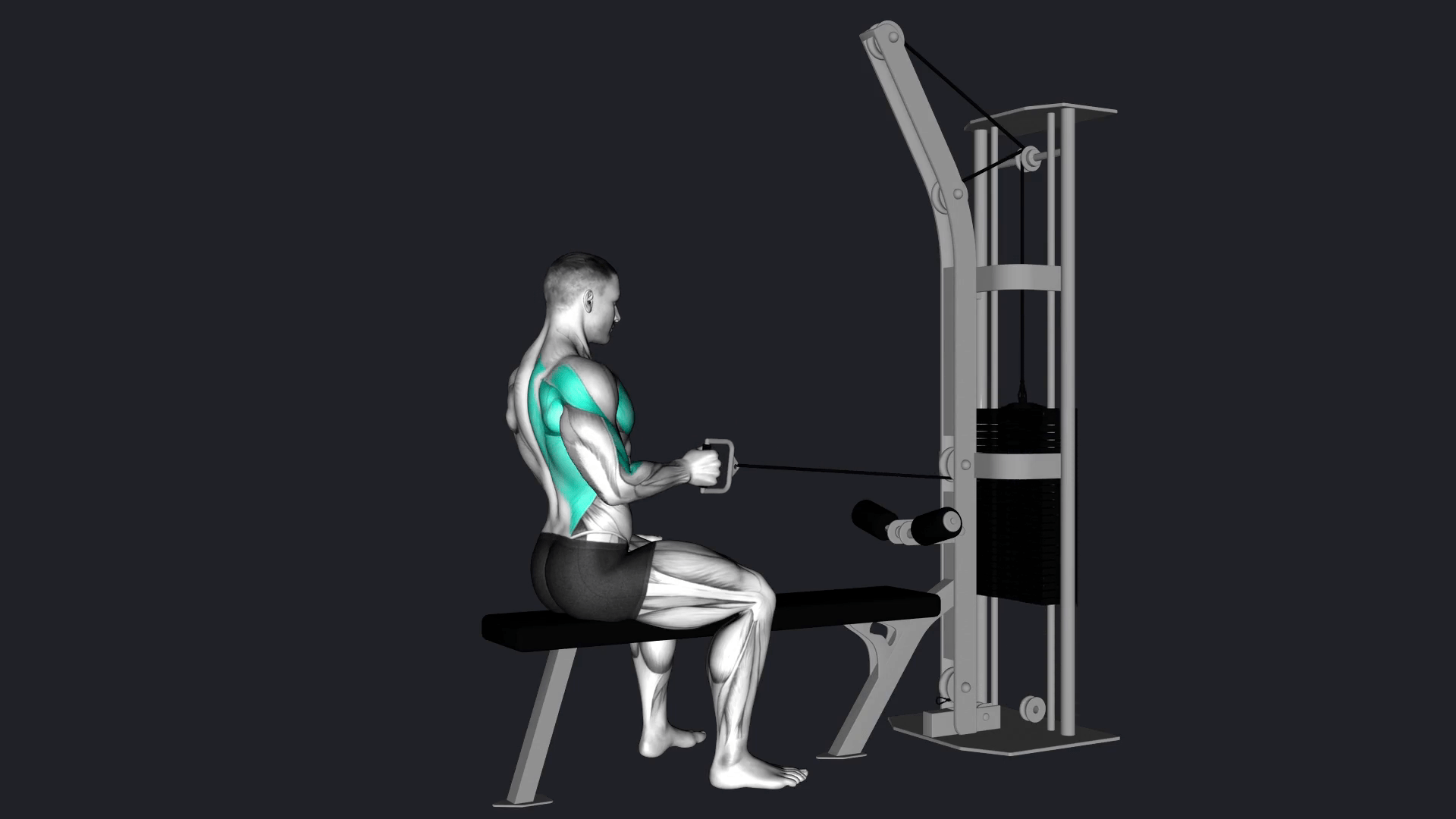 One Arm Seated Cable Row vs Butterfly Pull Up