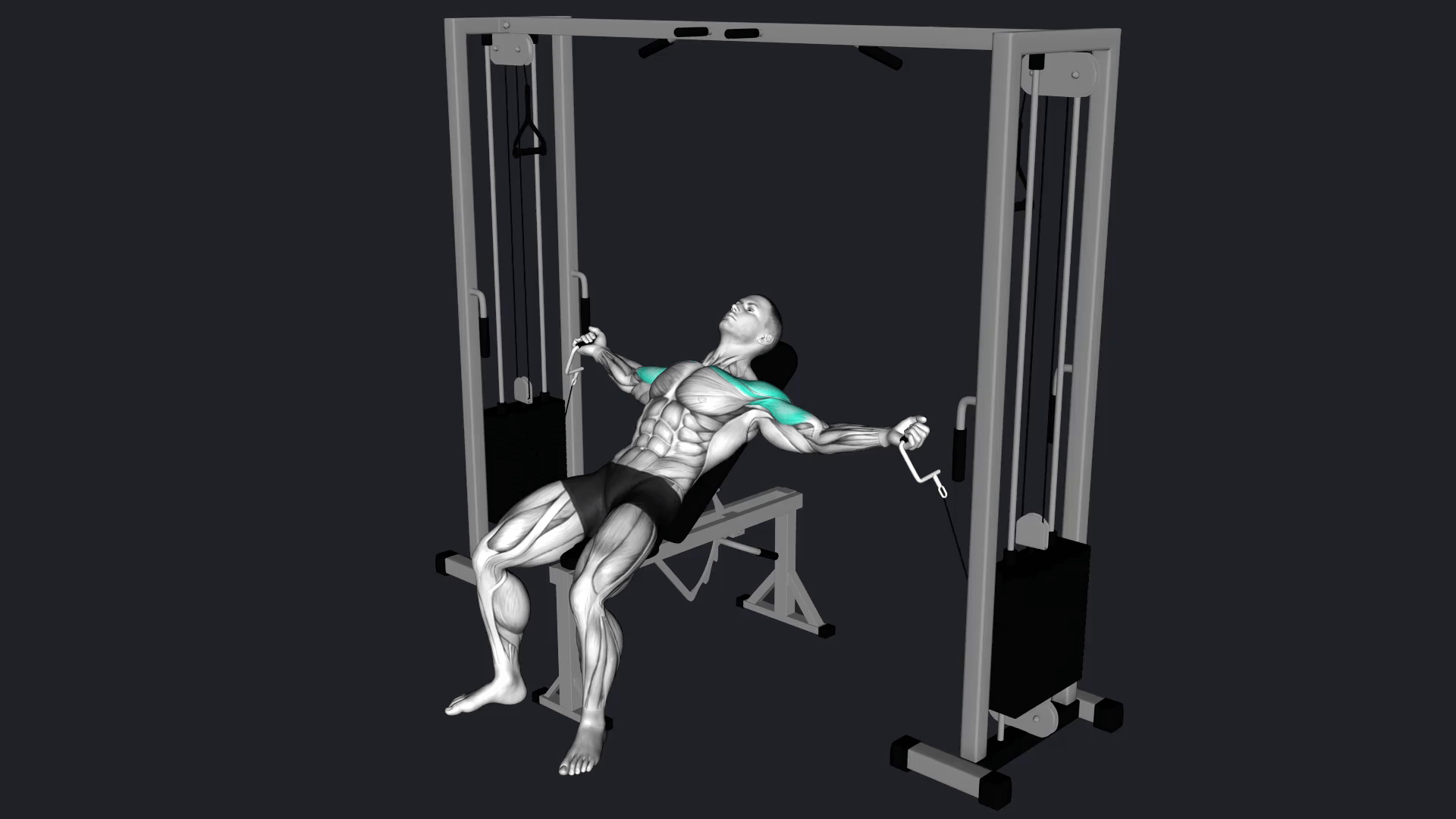 Incline Cable Fly vs Hammer Bench Press