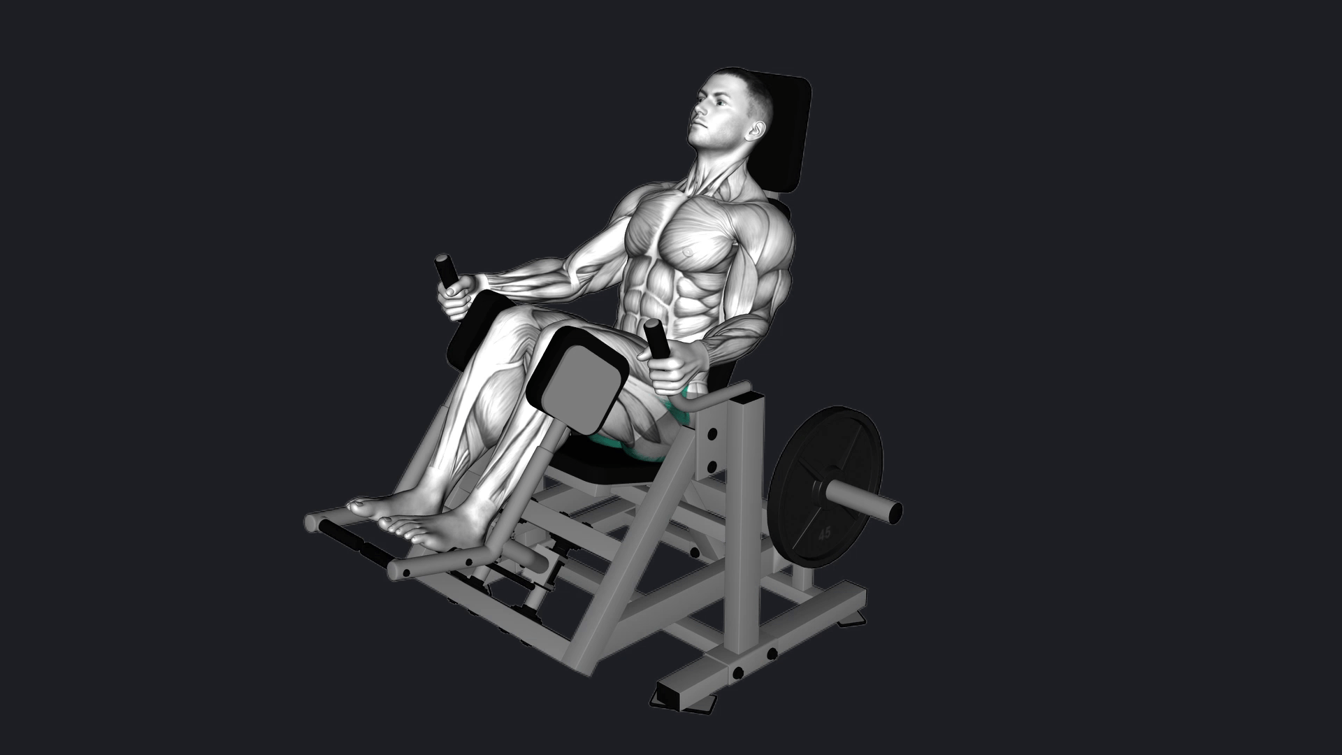 Monster Glute Machine Planfit Workout Guide