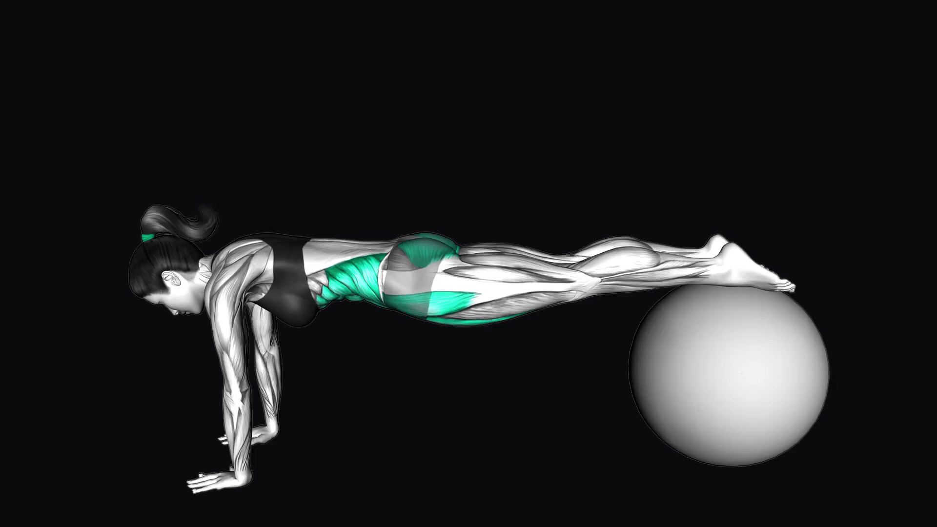 Exercise Ball Pull In Planfit Workout Guide