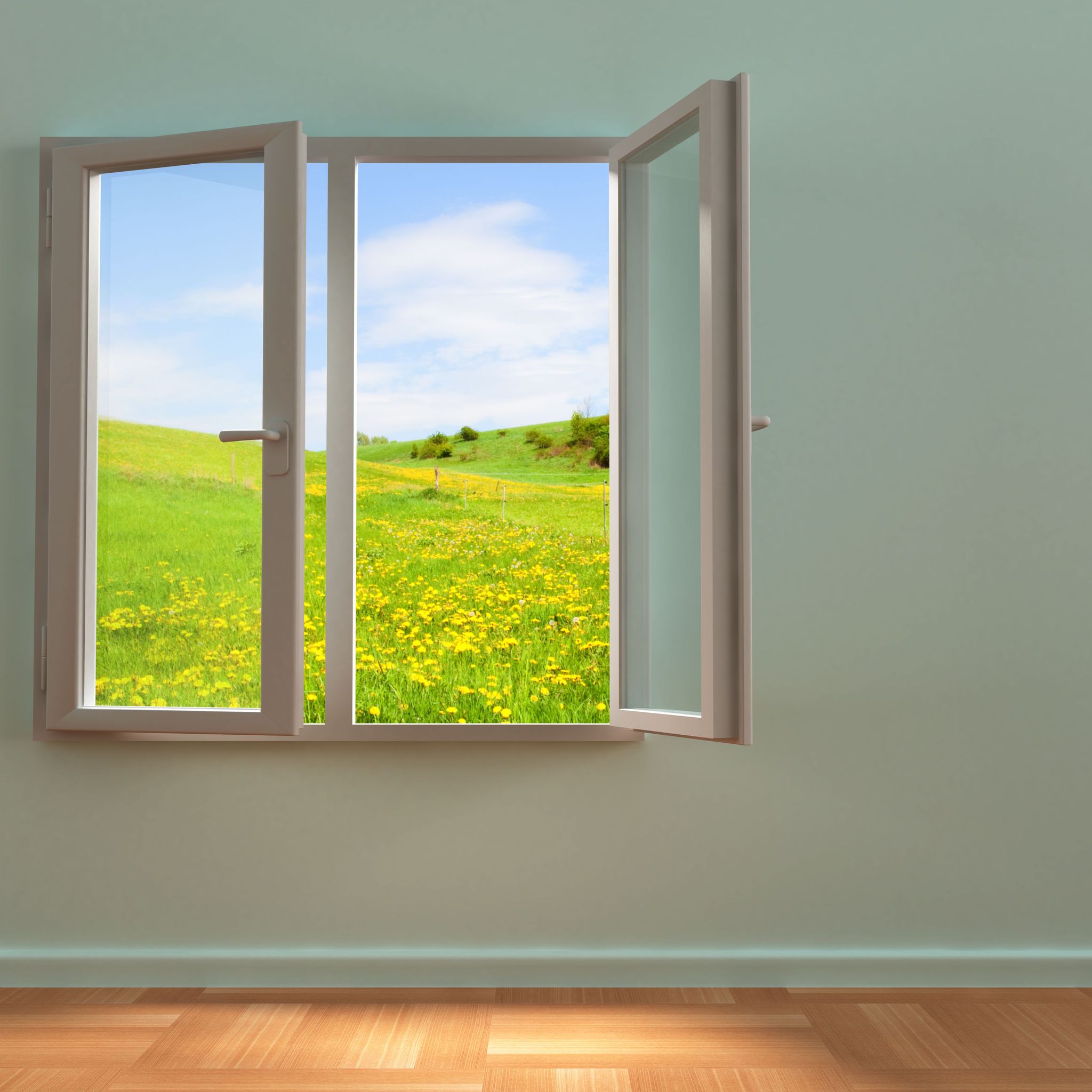 Upgrading your windows ( home inspections home inspectors near me house