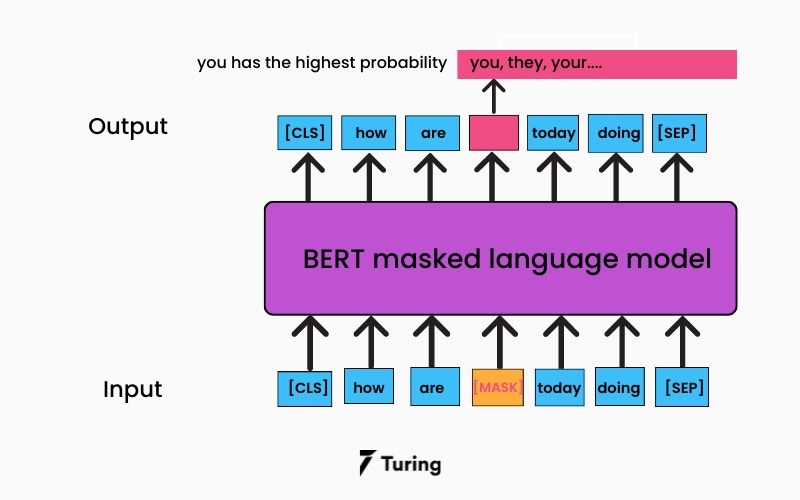 How BERT NLP Optimization Model Works