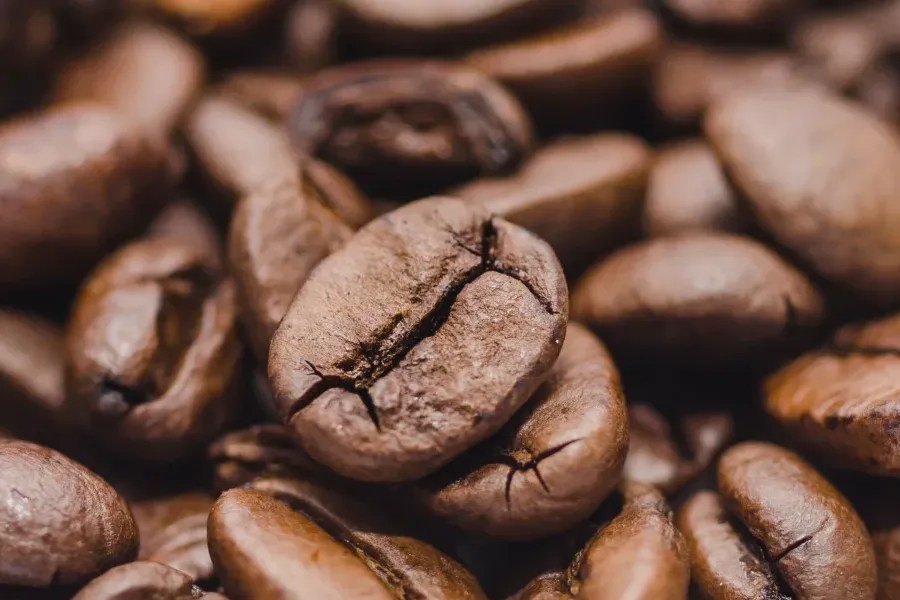 Is Decaf Coffee a Healthier Choice? We Love Cycling magazine