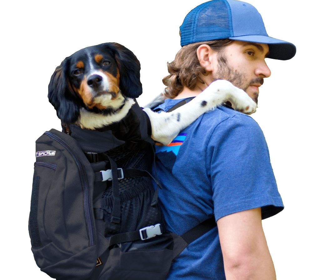 The Ultimate Guide to Biking with Your Dog We Love Cycling magazine