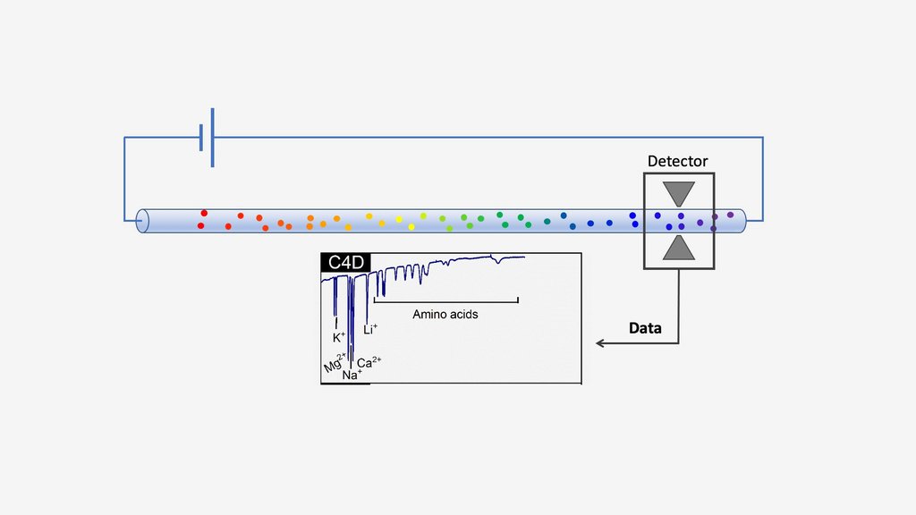 Organic Capillary Electrophoresis Analysis System NASA Jet Propulsion