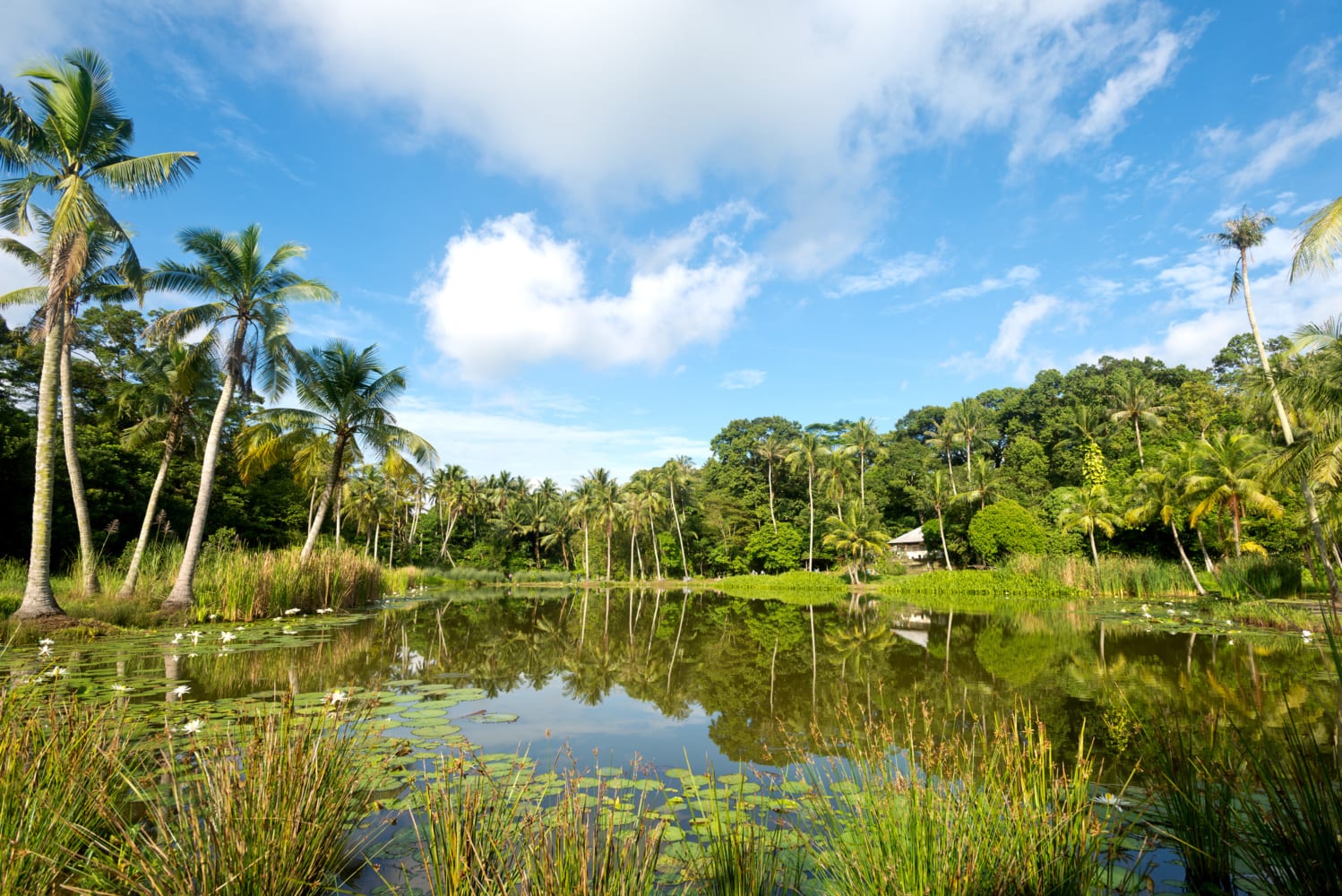Go kayaking, cycling and camping in Singapore Explore Pulau Ubin with