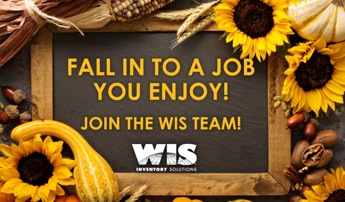 WIS International Mission, Benefits, and Work Culture