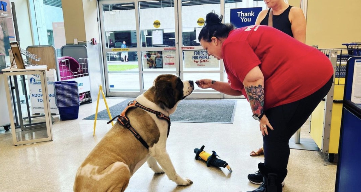 PetSmart Mission, Benefits, and Work Culture