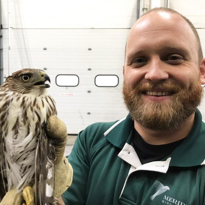 Meridian Bird Removal Mission, Benefits, and Work Culture