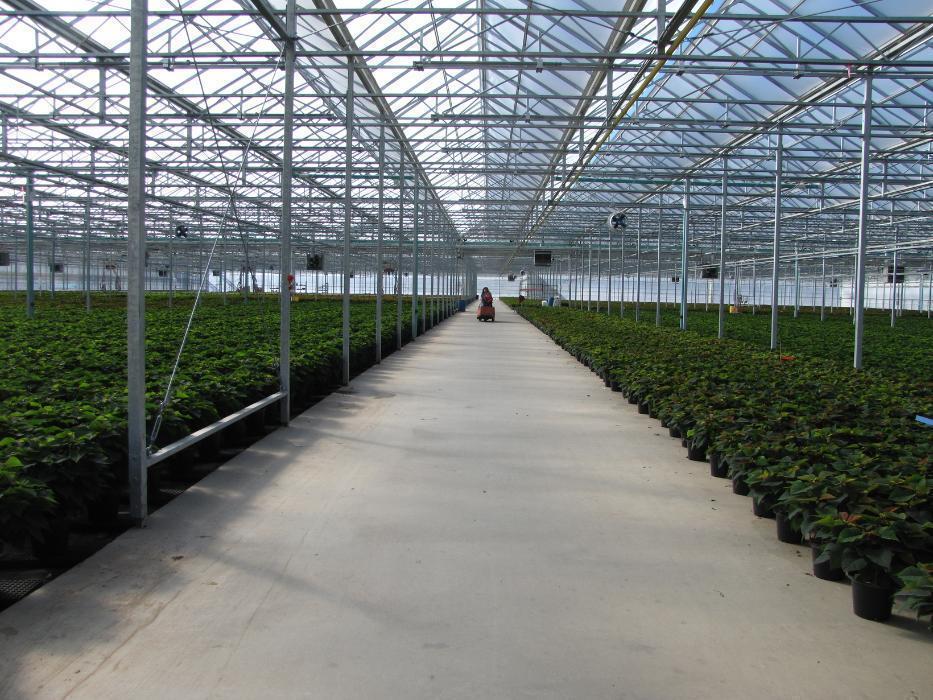 Grower Direct Farms Mission, Benefits, and Work Culture