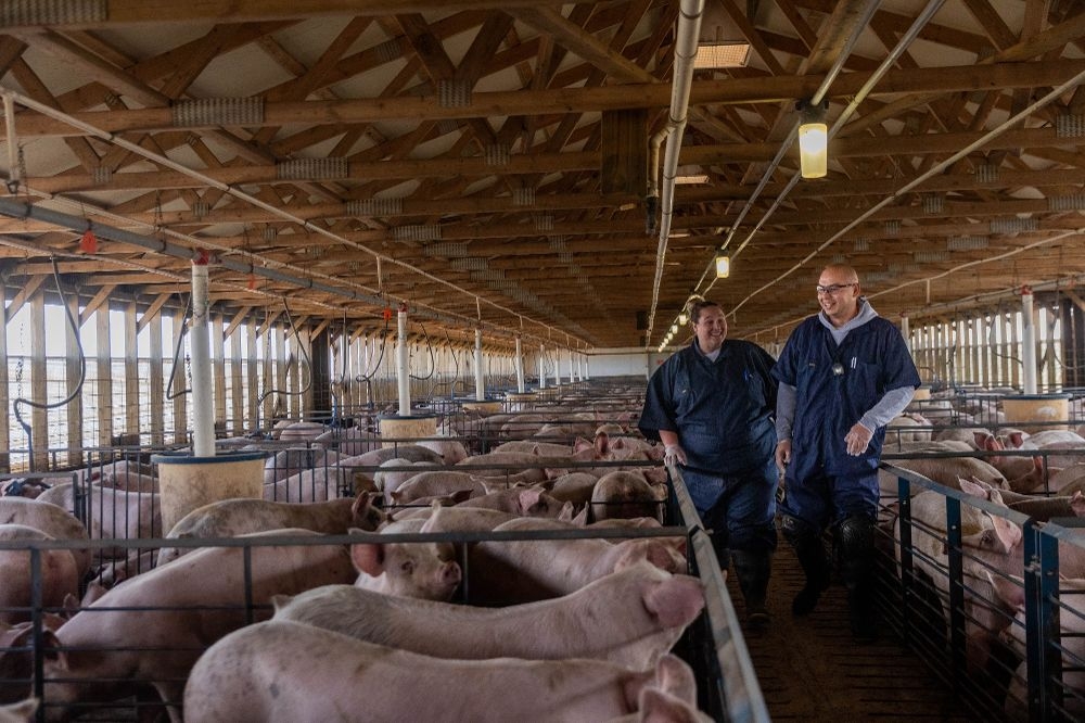 Seaboard Foods Mission, Benefits, and Work Culture