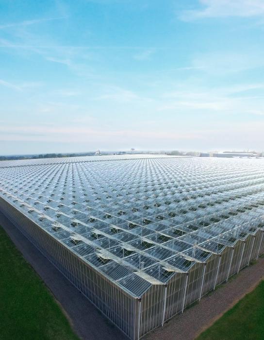 Mastronardi Produce Mission, Benefits, and Work Culture