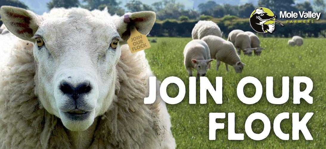 Mole Country Stores Mission, Benefits, and Work Culture Indeed.co.uk