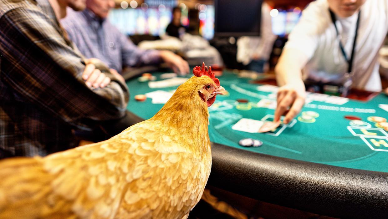 Chicken Ranch Casino Mission, Benefits, and Work Culture