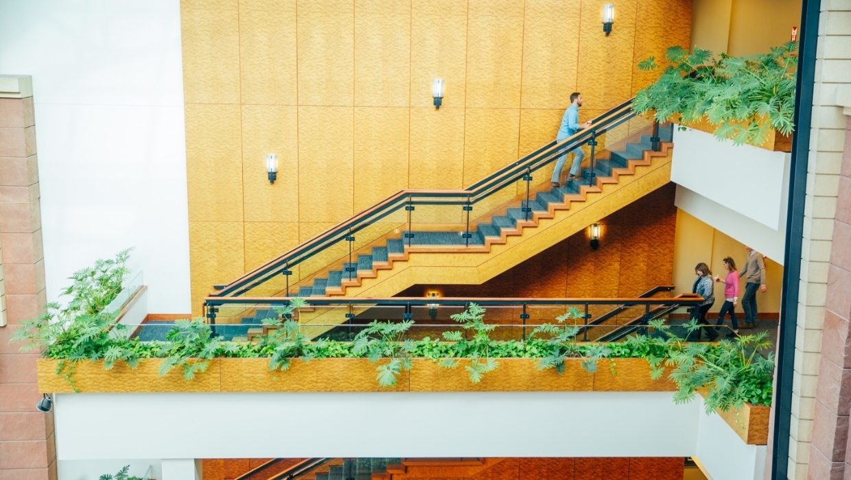 DISH Mission, Benefits, and Work Culture