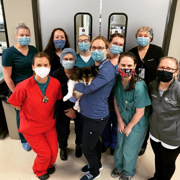 Charlotte Animal Referral & Emergency Mission, Benefits, and Work