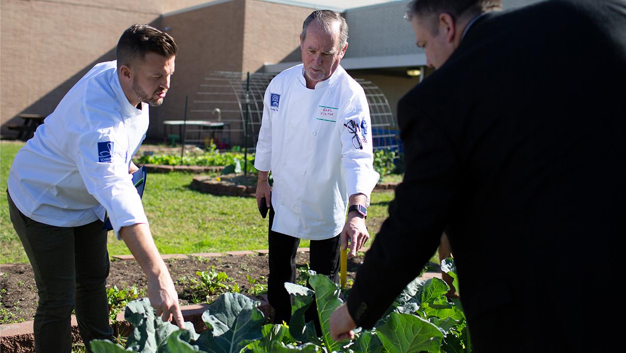 The Schwan Food Company Mission, Benefits, and Work Culture