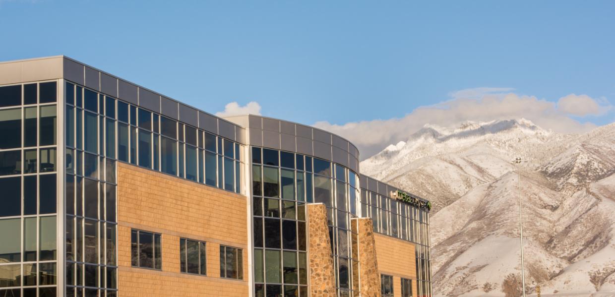 MetaSource Mission, Benefits, and Work Culture