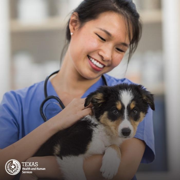 Cenikor Foundation Mission, Benefits, and Work Culture